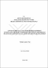 Küçük Resim