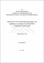 Küçük Resim